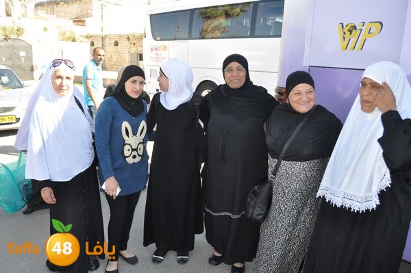 3omraludbacknew442n2 (9).JPG